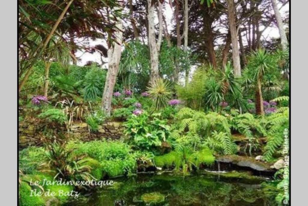 Vila Le Penty Du Peulven Plestin-les-Grèves Exteriér fotografie